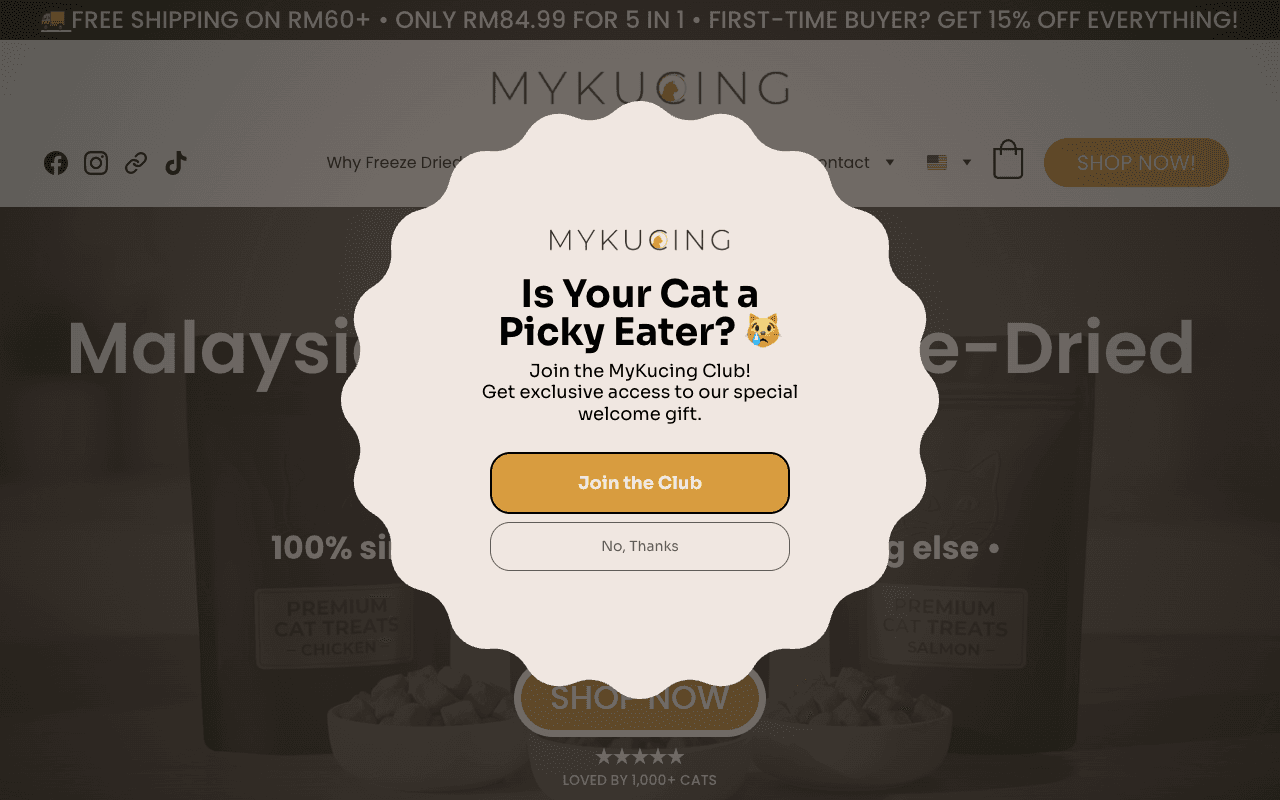 MyKucing Preview